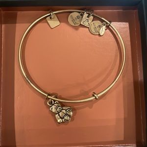 Alex and Ani bracelet